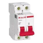 کلید مینیاتوری دو پل ۲۰ آمپر ۶KA